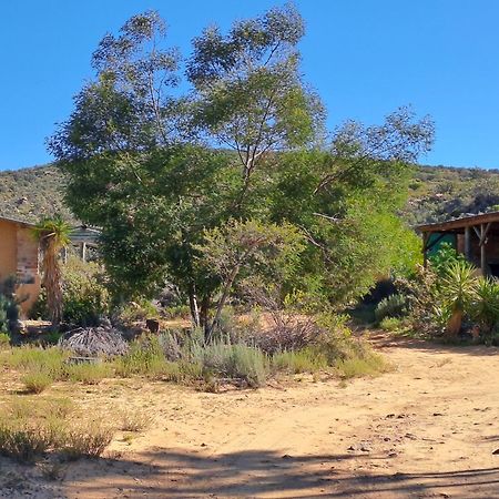 Touws River Rangers Reserve מראה חיצוני תמונה