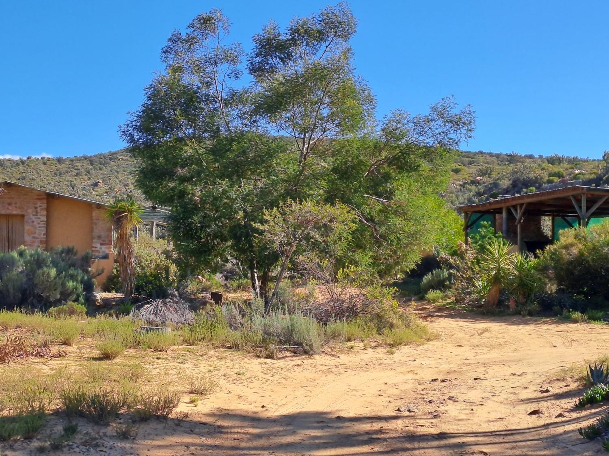 Touws River Rangers Reserve מראה חיצוני תמונה
