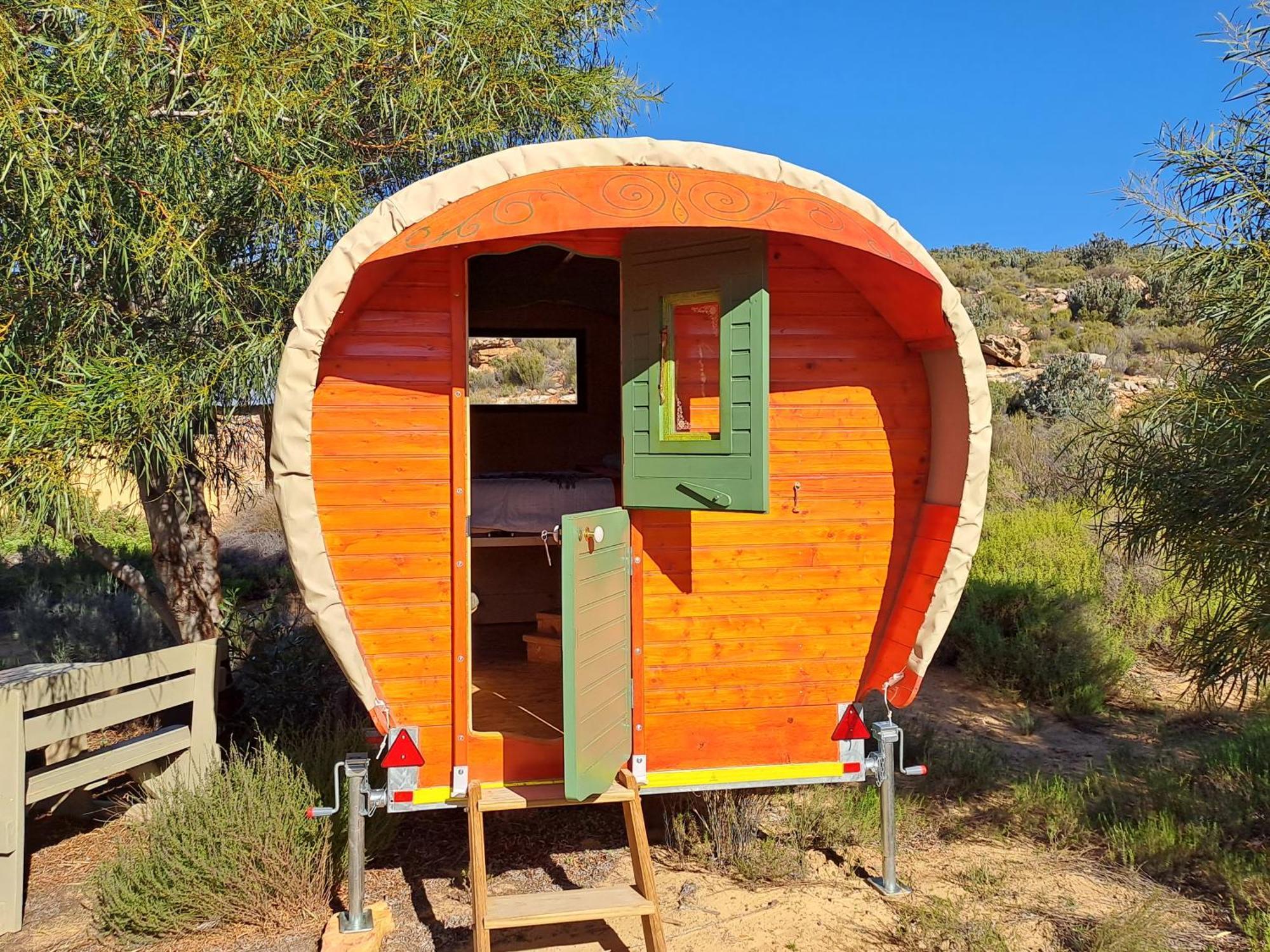 Touws River Rangers Reserve מראה חיצוני תמונה
