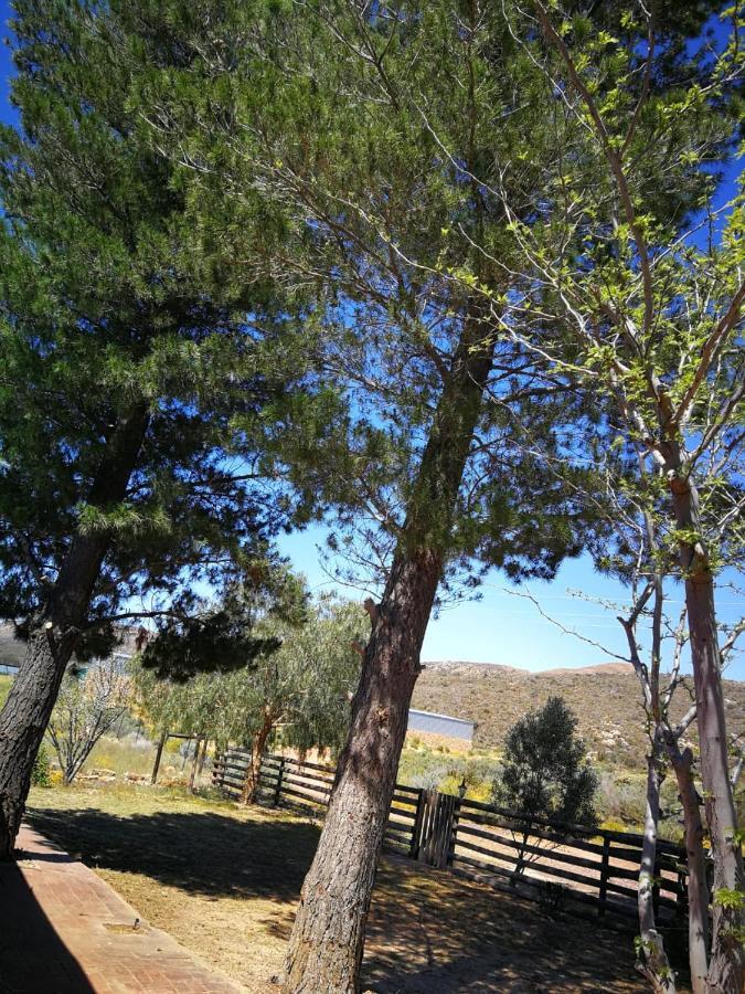 Touws River Rangers Reserve מראה חיצוני תמונה